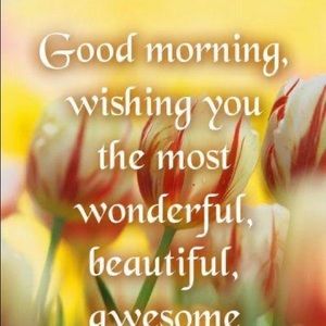 Meet your Posher, Leandra